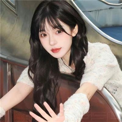 功夫传人之龙拳小子
